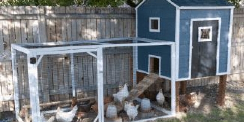 Osnovni zahtjevi za izgradnju kokošinjca, vrste materijala za izgradnju