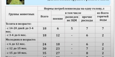 Glavne vrste pojilica za stoku