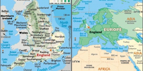 Osobine zečeva pasmine patuljastih ovnova