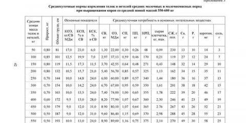 Karakteristike uzgoja goveda u rusiji