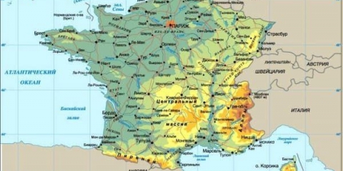 Činčila - zečevi ne samo za dom, već i za profit