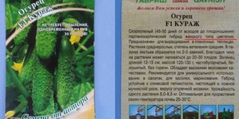 Karakteristike sorte krastavca courage