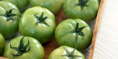 Pikantni kiseli zeleni paradajz za zimu