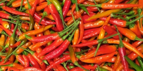 Ljuta paprika na korejskom za zimu: recepti sa fotografijama kod kuće