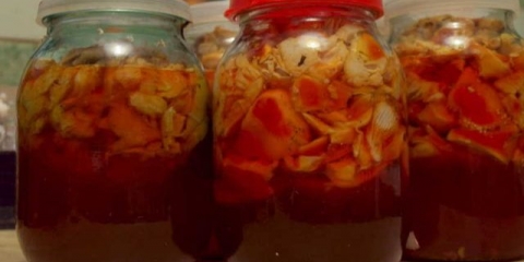 Šta muharica tretira alkoholom: ljekovita svojstva tinkture, recenzije