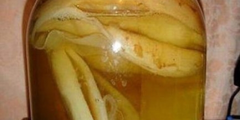 Odakle dolazi kombucha: kako se pojavila, gdje raste u prirodi