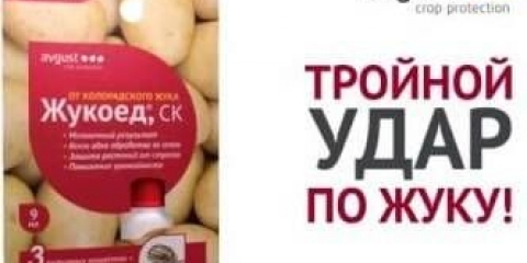 Otrov iz koloradske bube: recenzije