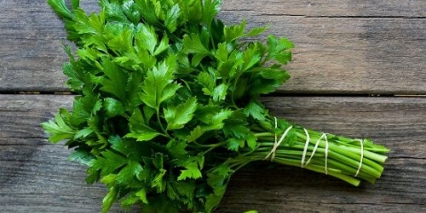 Uvarak, čaj i infuzija peršina od oticanja nogu: recepti, recenzije