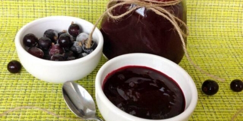 Pasta od crne, crvene ribizle: recepti, fotografije