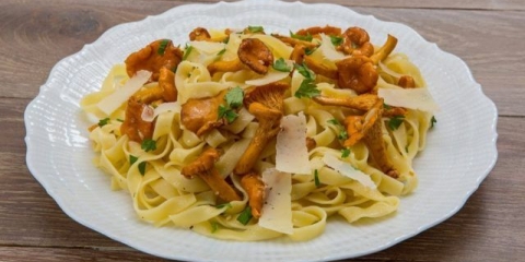 Testenina sa lisičarkama: u krem ​​sosu, sa slaninom