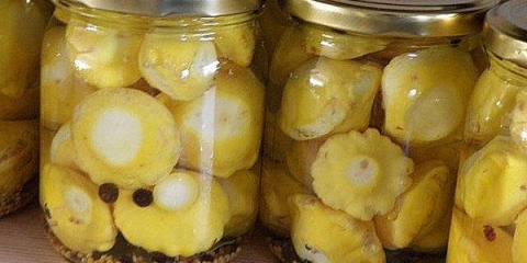 Tikvice marinirane za zimu