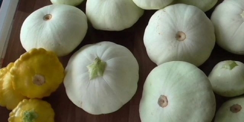 Tikve u soku od paradajza za zimu: 5 recepata