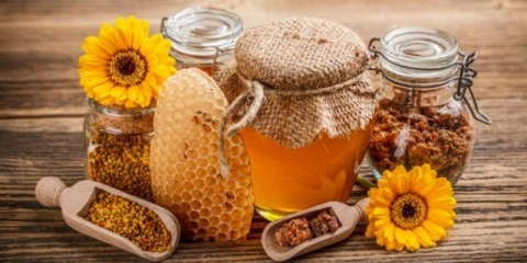 Pčela: fotografija + zanimljive činjenice