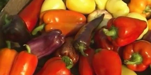 Pepper big mama: karakteristike i opis sorte