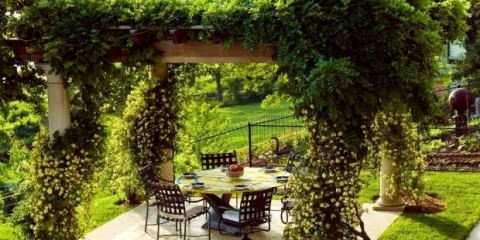 Pergole u pejzažnom dizajnu