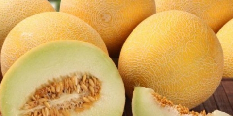 Pire od dinje za zimnicu