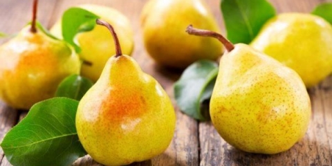 Zašto kruška ne rađa