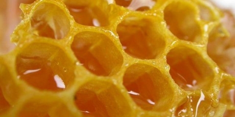 Zašto pčele ne zatvaraju med iako su okviri puni