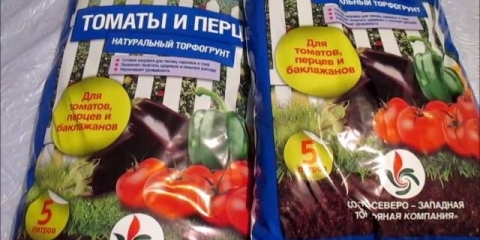 Zemlja za sadnice paradajza i paprike