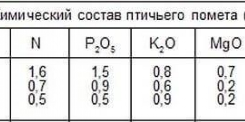 Hranjenje pilećim gnojem