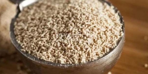 Prihranjivanje krastavaca kvascem