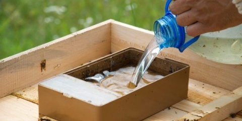 Prihranjivanje pčela u avgustu