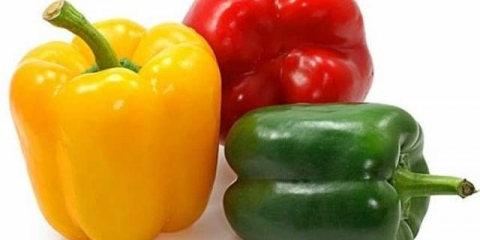 Prihrana paprike nakon sadnje