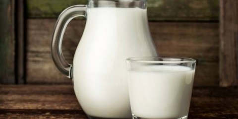 Hranjenje paradajza mlekom