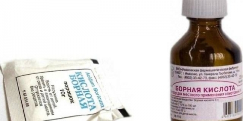 Hranjenje paradajza bornom kiselinom