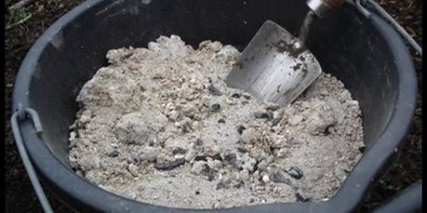 Prihranjivanje sadnica paradajza pepelom