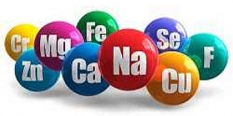 Prihrana paradajza u periodu plodonošenja