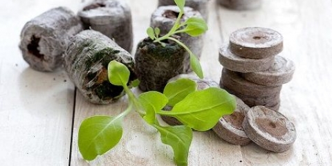 Prihrana kalijum humatom: što je dobro, sastav, upute za upotrebu