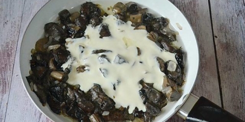 Aspen pečurke sa pavlakom: recepti, fotografije