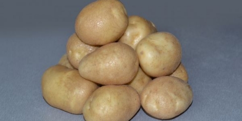 Detaljne karakteristike i opis sorti krompira sretno