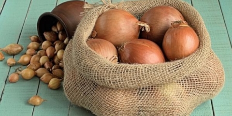 Detaljan opis i karakteristike sorti luka hercules