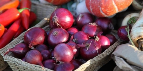 Detaljan opis sorte crvenog luka baron