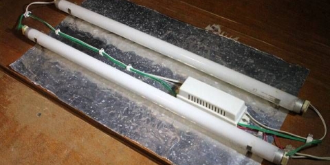 Osvetljenje sadnica fluorescentnim lampama