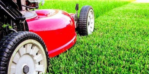 Košnja travnjaka: opis, pravila i propisi