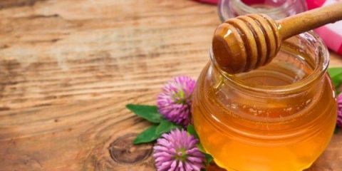 Korisna svojstva i kontraindikacije meda od djeteline