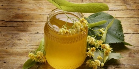 Korisna svojstva i kontraindikacije lipovog meda