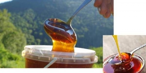 Korisna svojstva i kontraindikacije tajga meda