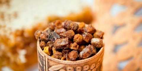 Korisna svojstva pčelinje perge