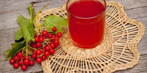 Korisna svojstva soka od viburnuma i kontraindikacije