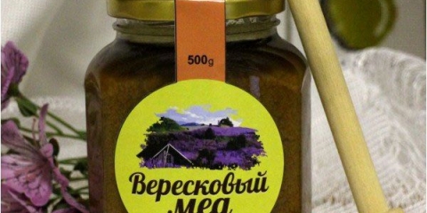 Korisna svojstva meda od vrijeska