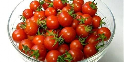 Cherry paradajz: uzgoj