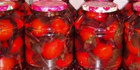 Kiseli paradajz od cvekle: 8 recepata