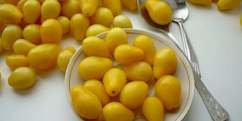 Paradajz medena kap: karakteristike i razlike od drugih sorti