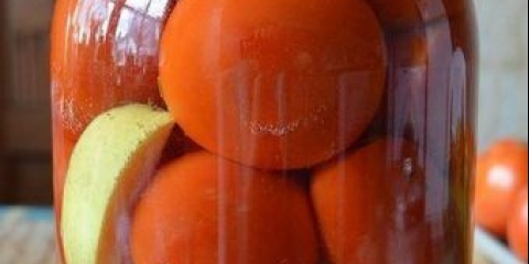 Paradajz na nemački način sa jabukama