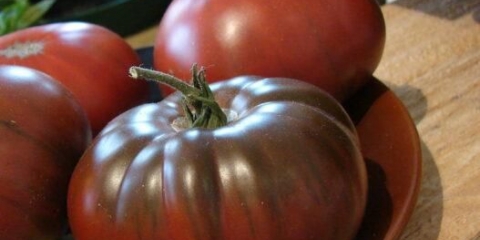 Čokoladna zebra rajčica: opis sorte, fotografije, recenzije