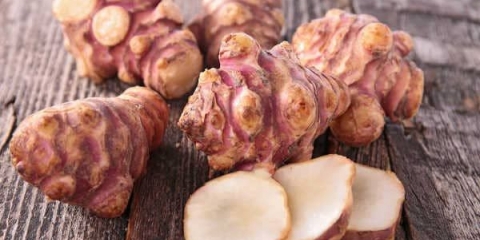 Jeruzalemska artičoka u prahu: recenzije, primjena